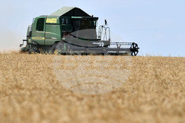 Село Китанчево - жътва - привършване