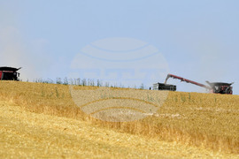 Село Китанчево - жътва - привършване