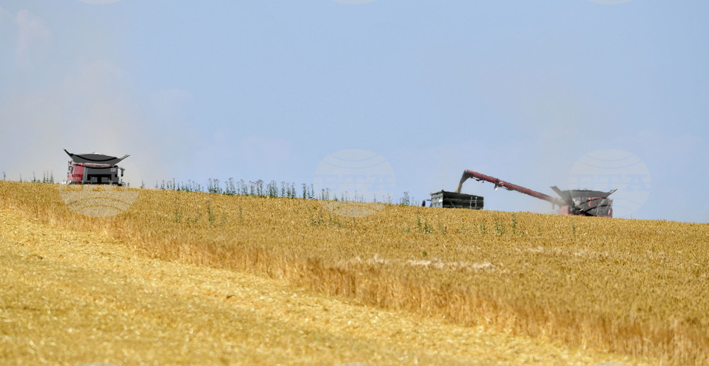Село Китанчево - жътва - привършване