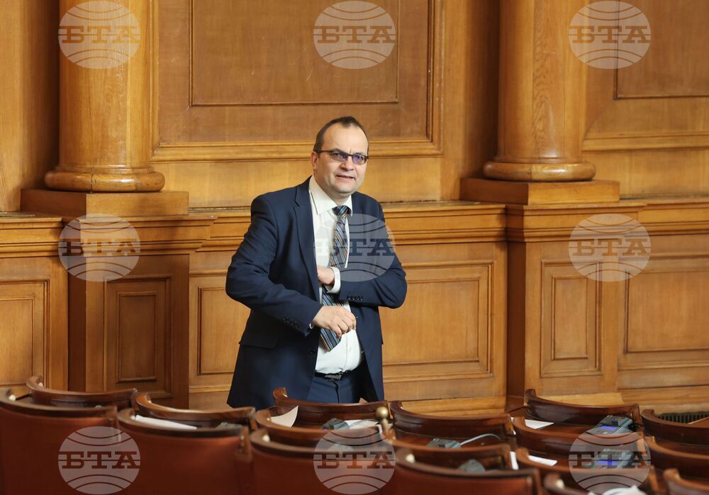 Парламент - Мартин Димитров - заседание