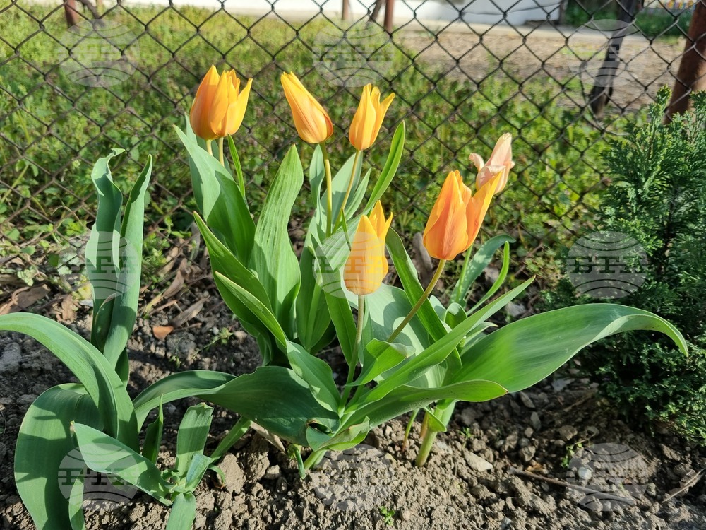 Today's Observances: April 18