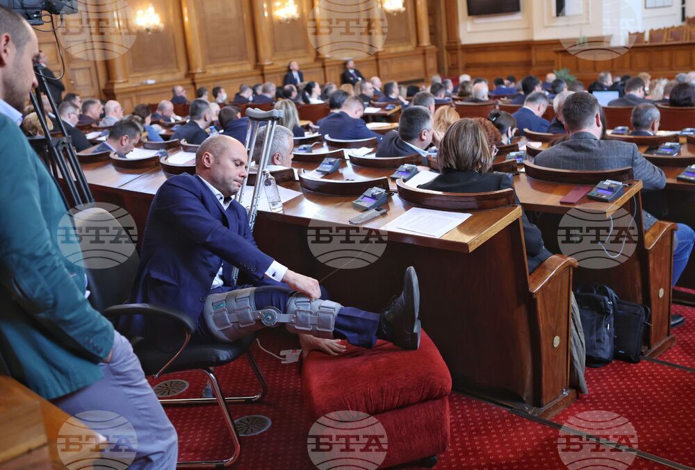 Парламент - Димитър Ташев - заседание