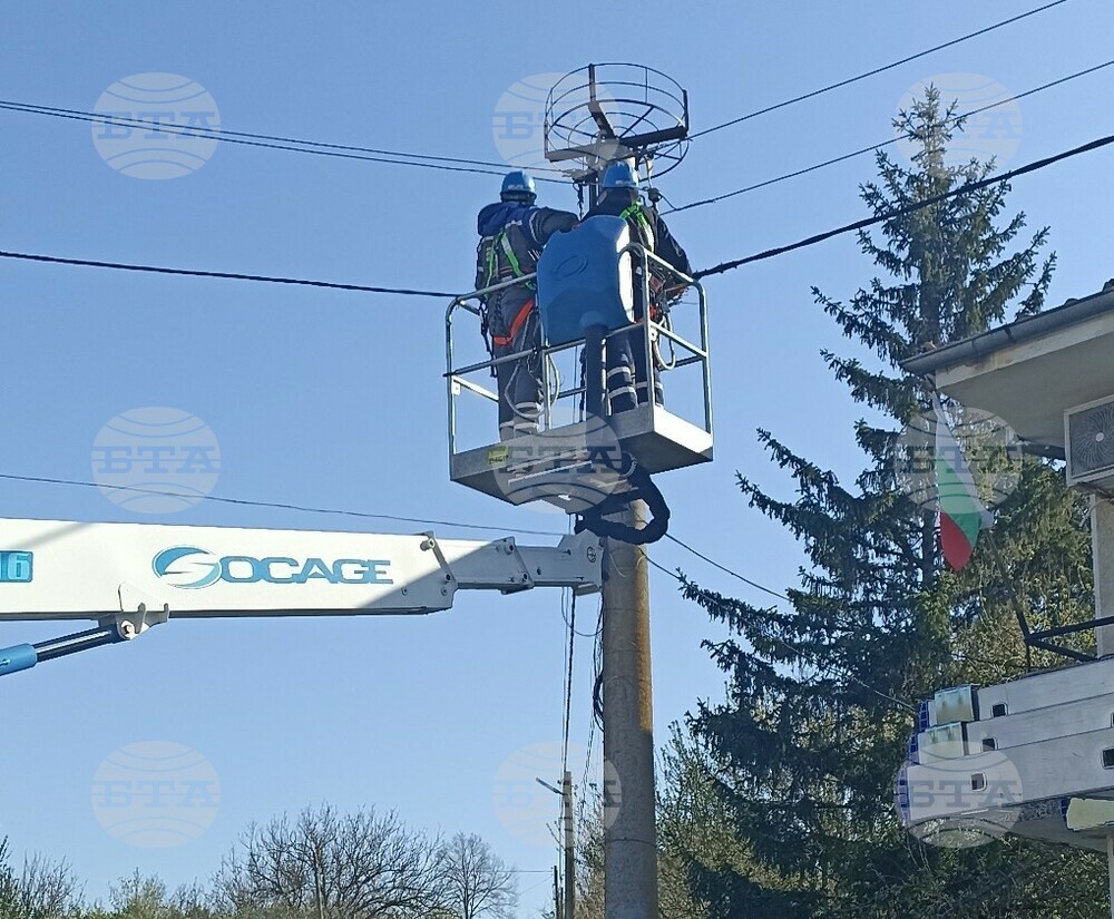 Електромонтьори помогнаха на щъркелова двойка в село Юнак в Община Аврен
