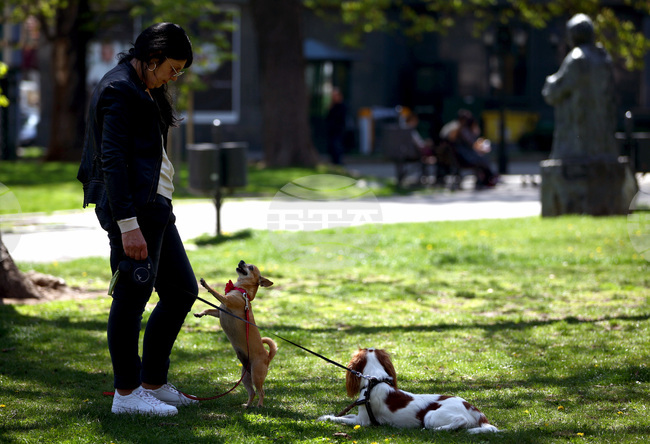 The Weather on April 24