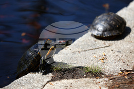 Топло време