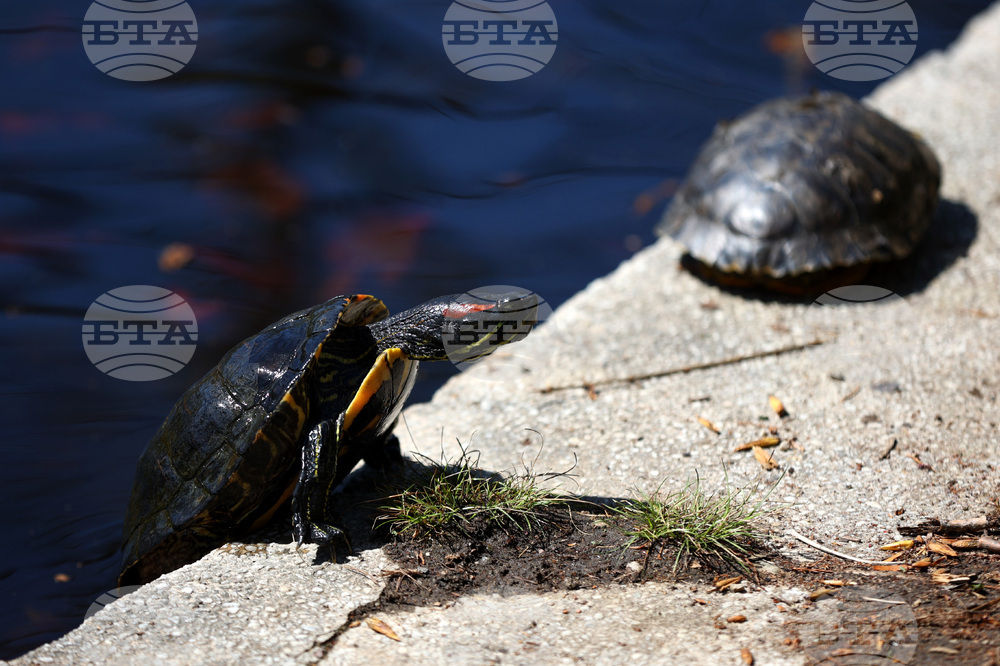 Топло време