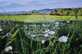 Вършец - фотографска изложба - Антон Антонов  