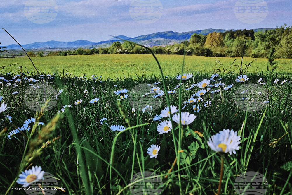 Вършец - фотографска изложба - Антон Антонов  