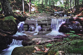 Вършец - фотографска изложба - Антон Антонов  