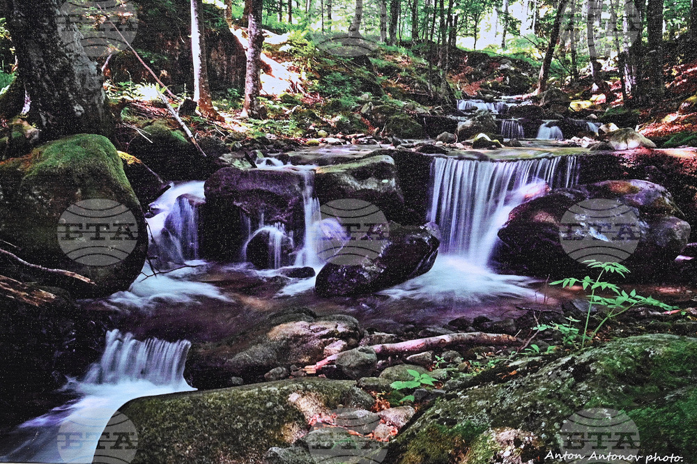 Вършец - фотографска изложба - Антон Антонов  