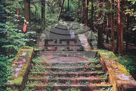 Вършец - фотографска изложба - Антон Антонов  