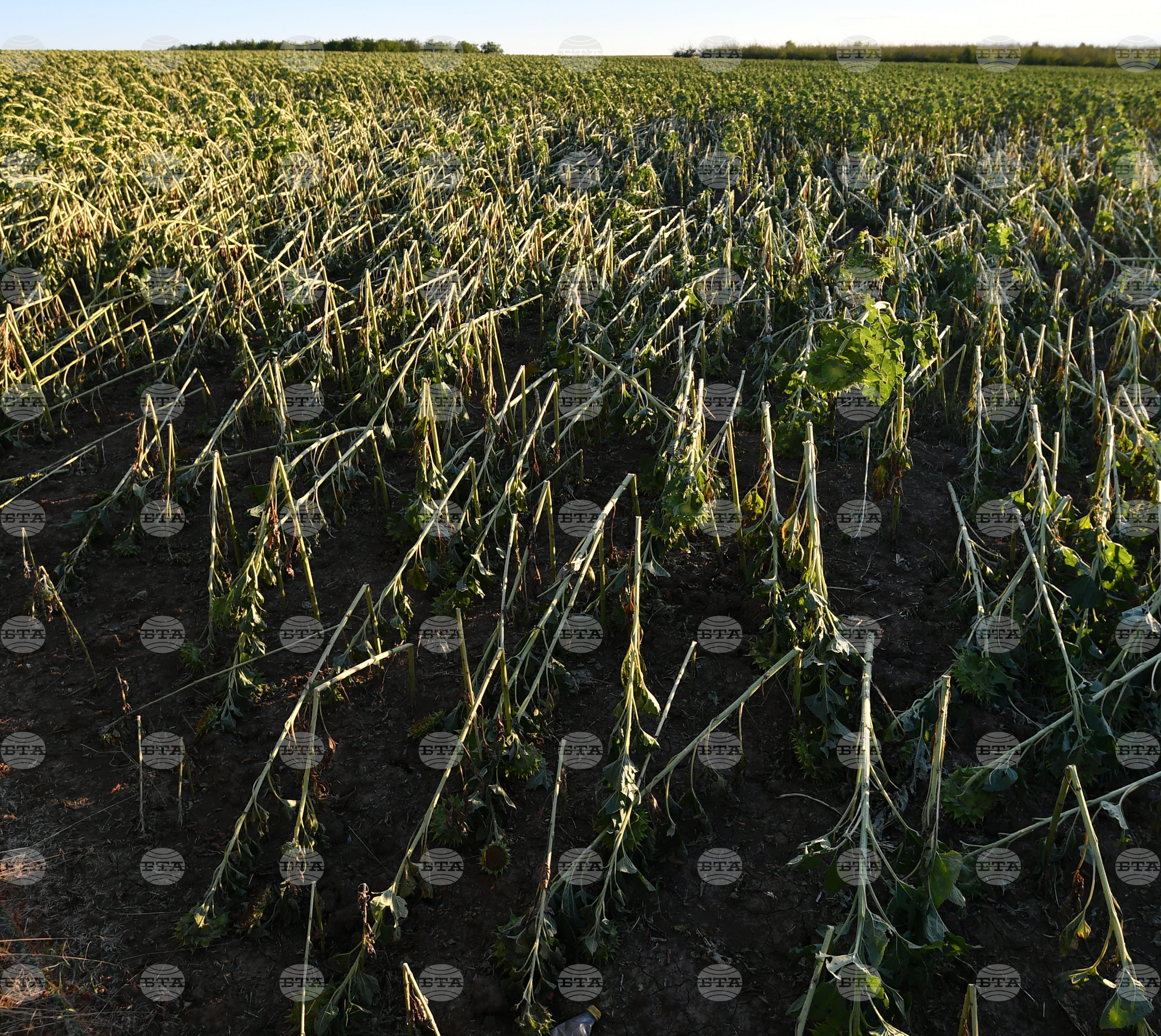 Село Белинци - буря - поражения
