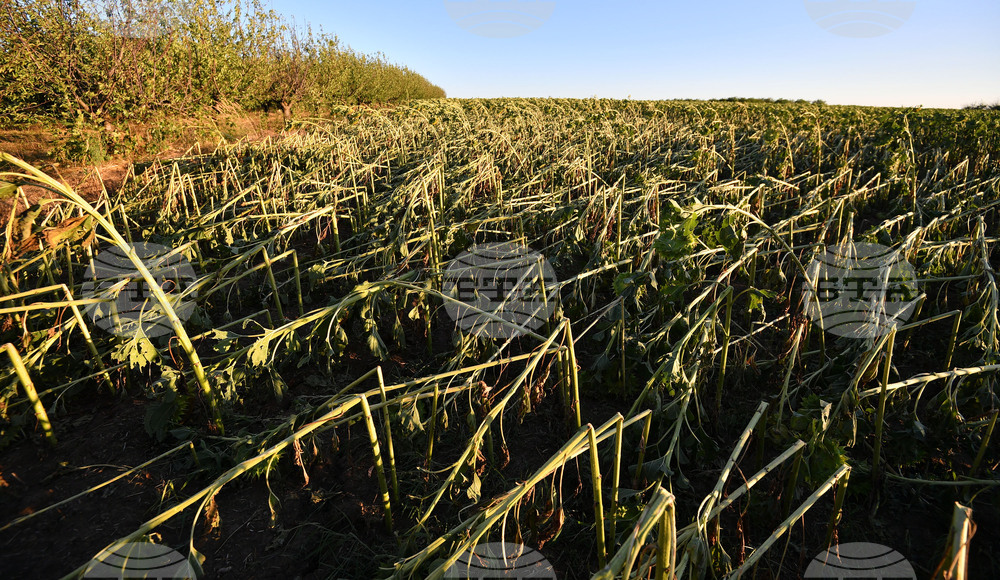 Село Белинци - буря - поражения