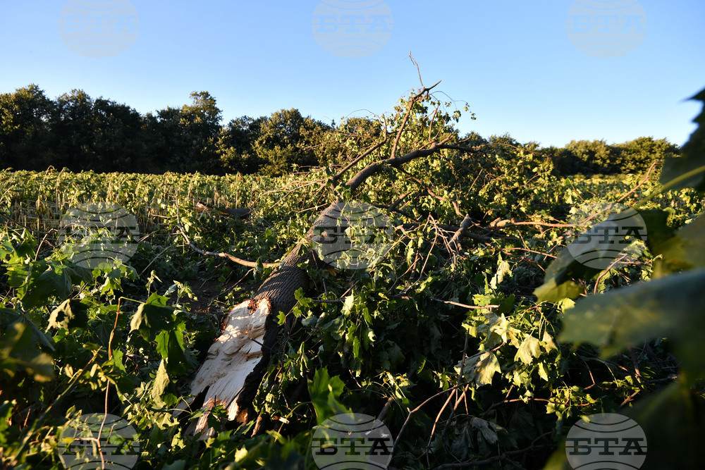 Село Белинци - буря - поражения