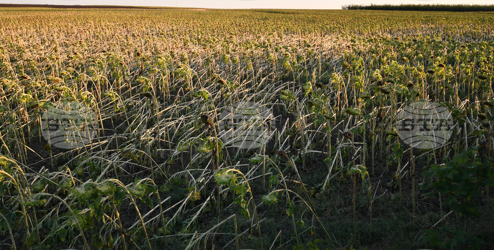 Село Белинци - буря - поражения