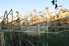 Село Белинци - буря - поражения