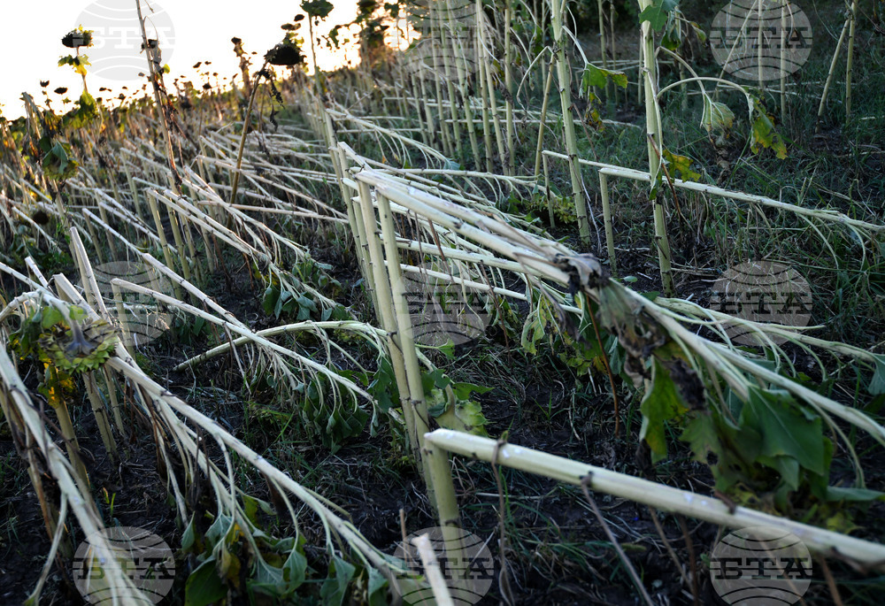 Село Белинци - буря - поражения