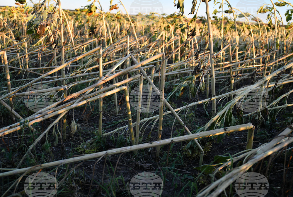 Село Белинци - буря - поражения