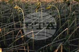 Село Белинци - буря - поражения