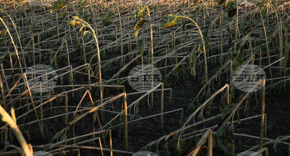 Село Белинци - буря - поражения