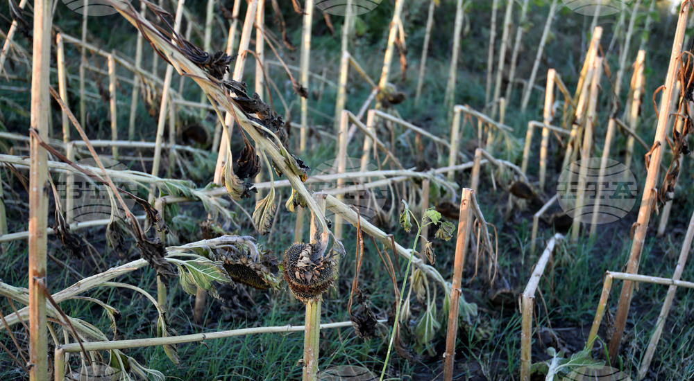 Село Белинци - буря - поражения