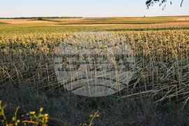 Село Белинци - буря - поражения