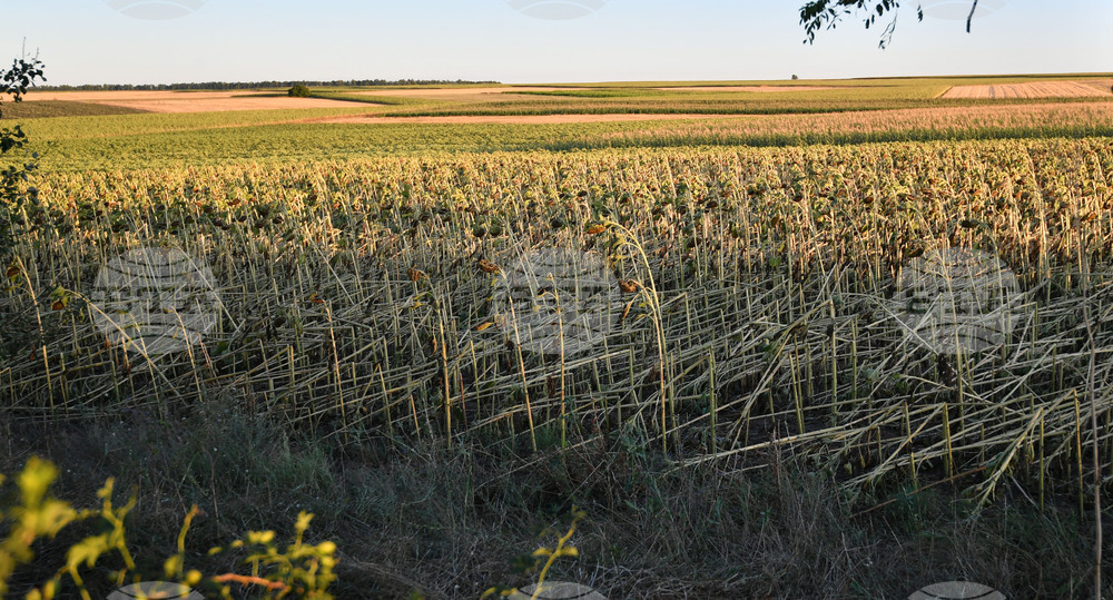 Село Белинци - буря - поражения