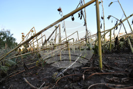 Село Белинци - буря - поражения