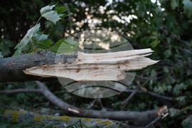 Село Белинци - буря - поражения