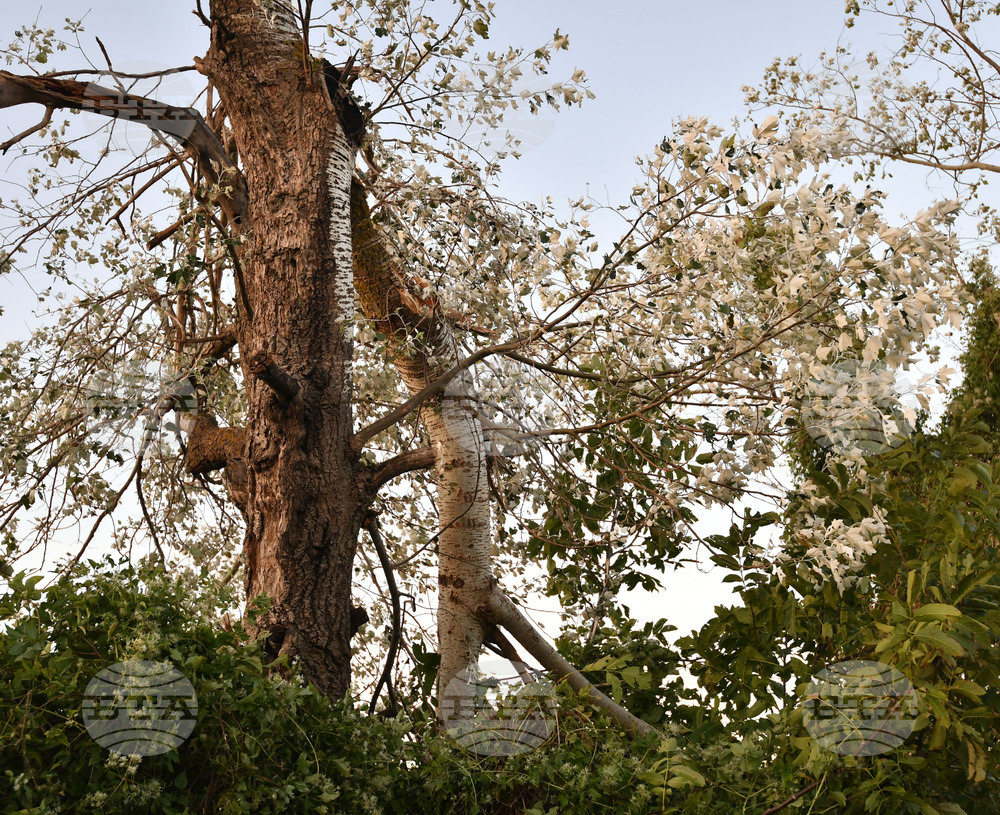 Село Белинци - буря - поражения