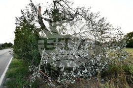 Село Белинци - буря - поражения