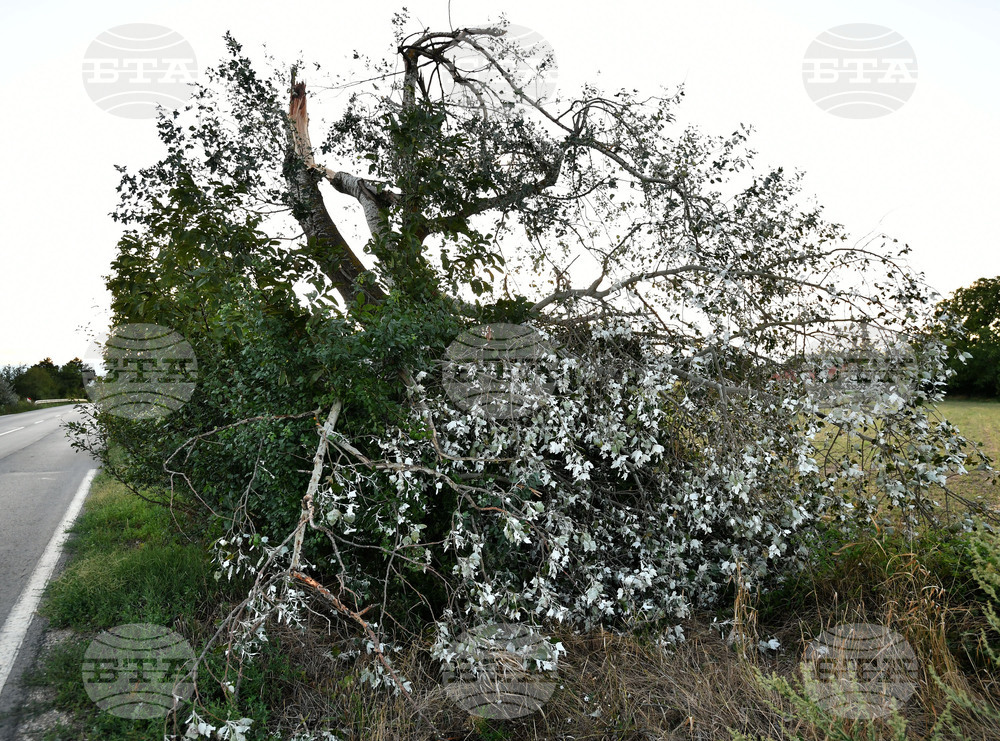 Село Белинци - буря - поражения