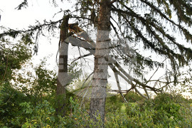 Село Белинци - буря - поражения