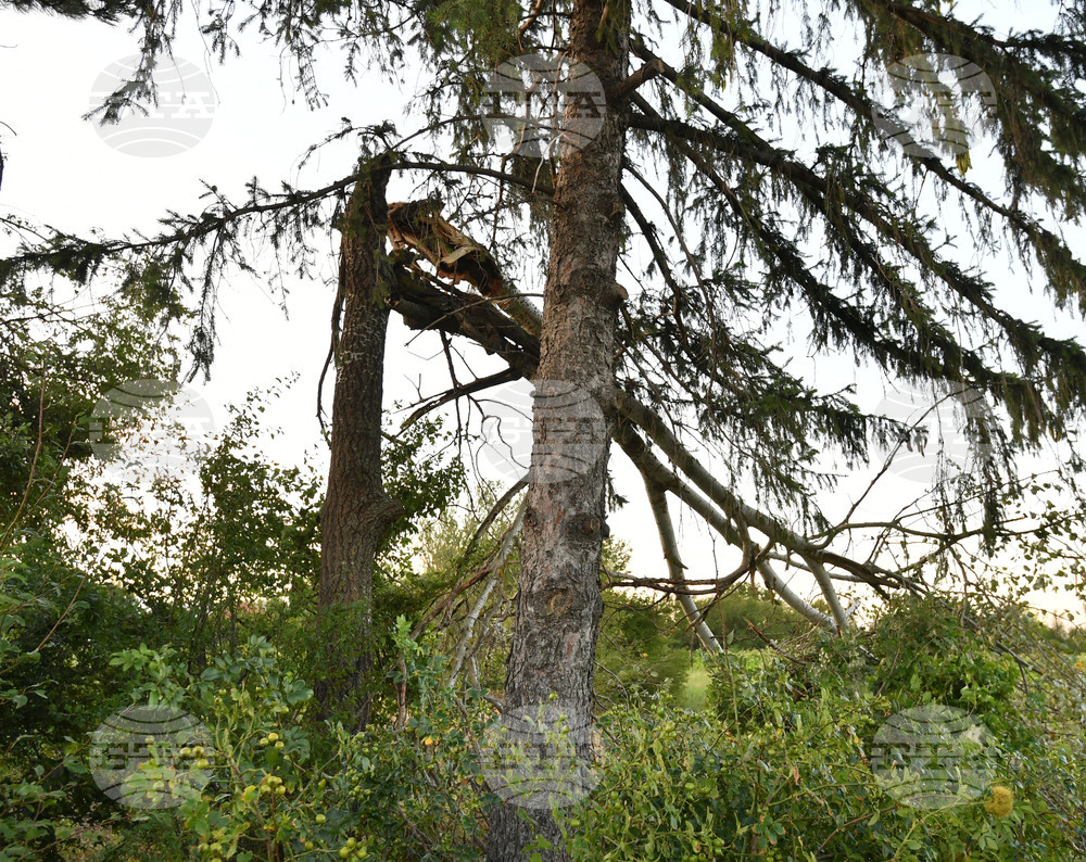 Село Белинци - буря - поражения