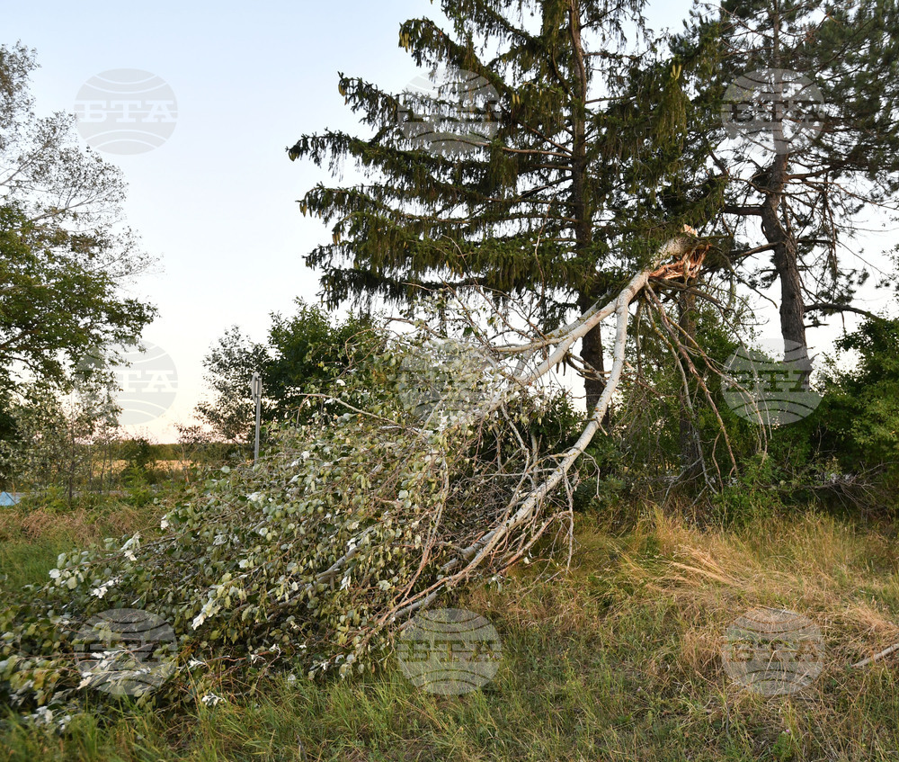 Село Белинци - буря - поражения