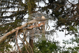 Село Белинци - буря - поражения