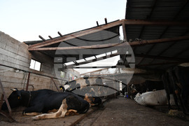 Село Белинци - буря - поражения