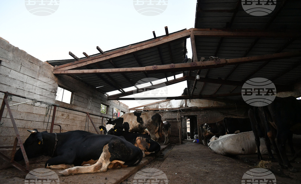 Село Белинци - буря - поражения