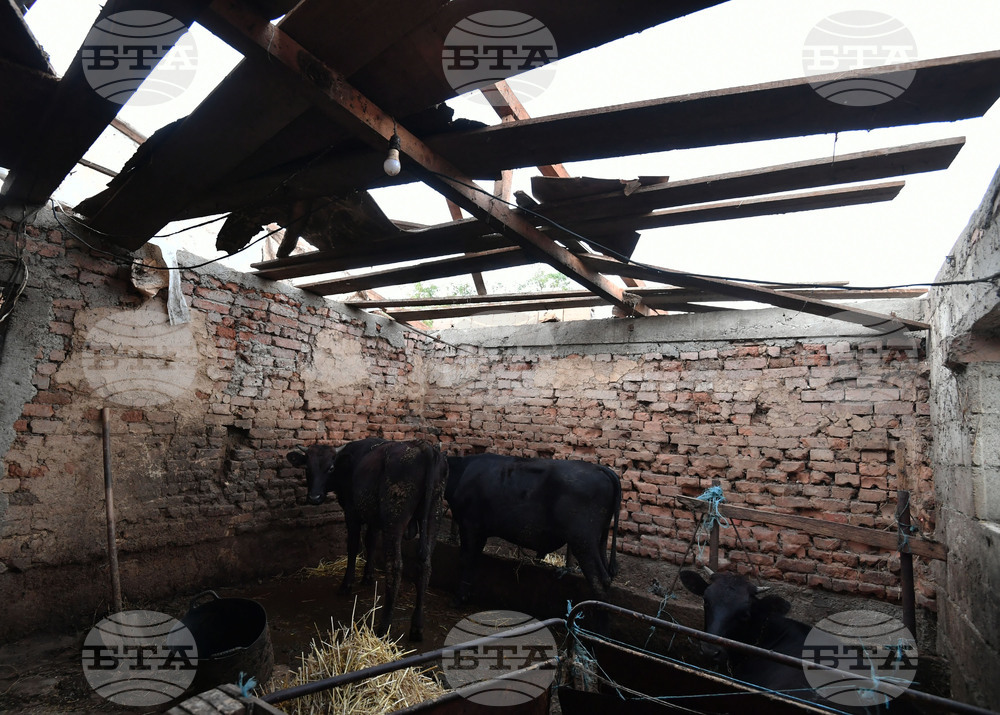 Село Белинци - буря - поражения