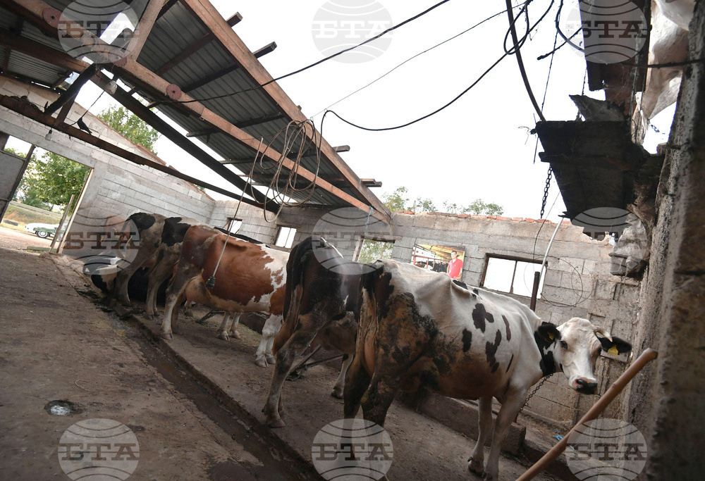 Село Белинци - буря - поражения