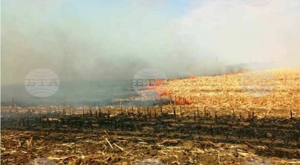 Горски служители заловиха нарушител, запалил стърнище в землището на кюстендилското село Жиленци