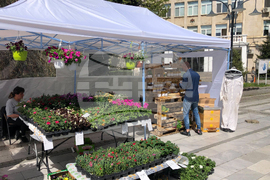 Силистра - фестивал