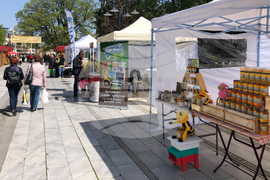 Силистра - фестивал