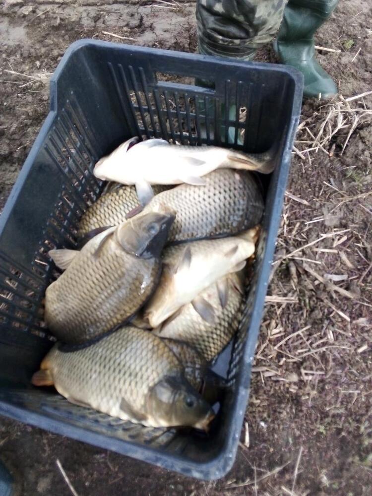 Инспектори на ИАРА с акции по язовири из цялата страна