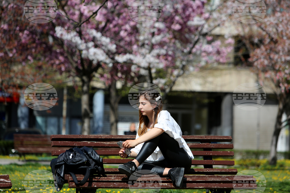 Цъфнали вишни - празник - Национална библиотека