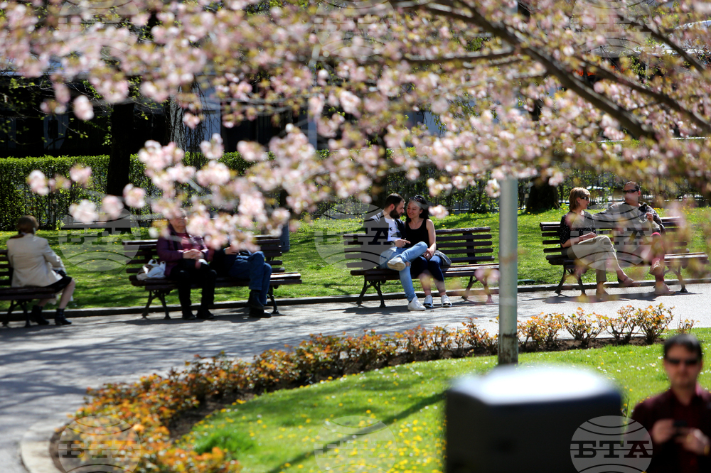 Цъфнали вишни - празник - Национална библиотека