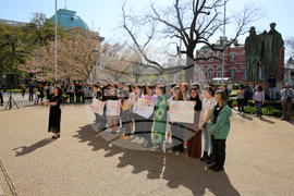 Цъфнали вишни - празник - Национална библиотека