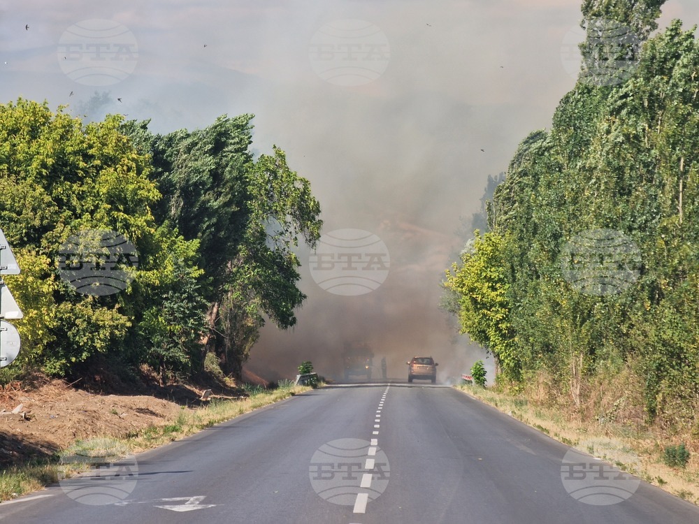 Локализиран е пожарът, който пламна между Петрич и Сандански