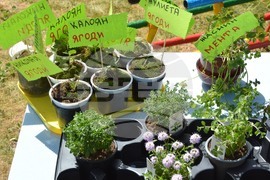 Хасково - детска градина 