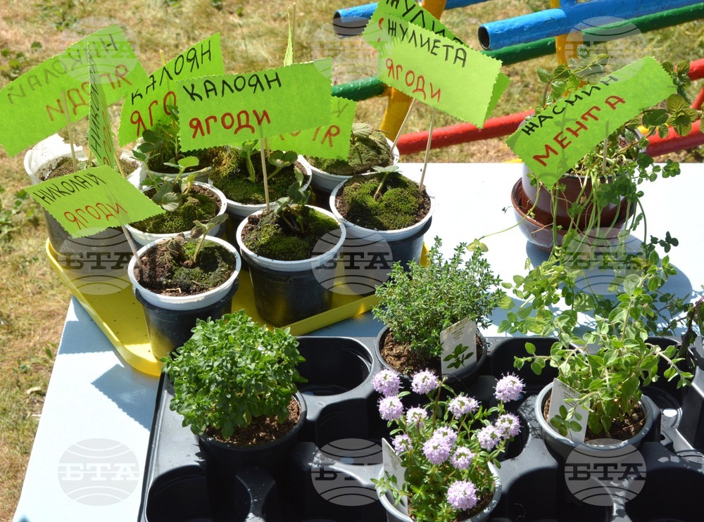 Хасково - детска градина 